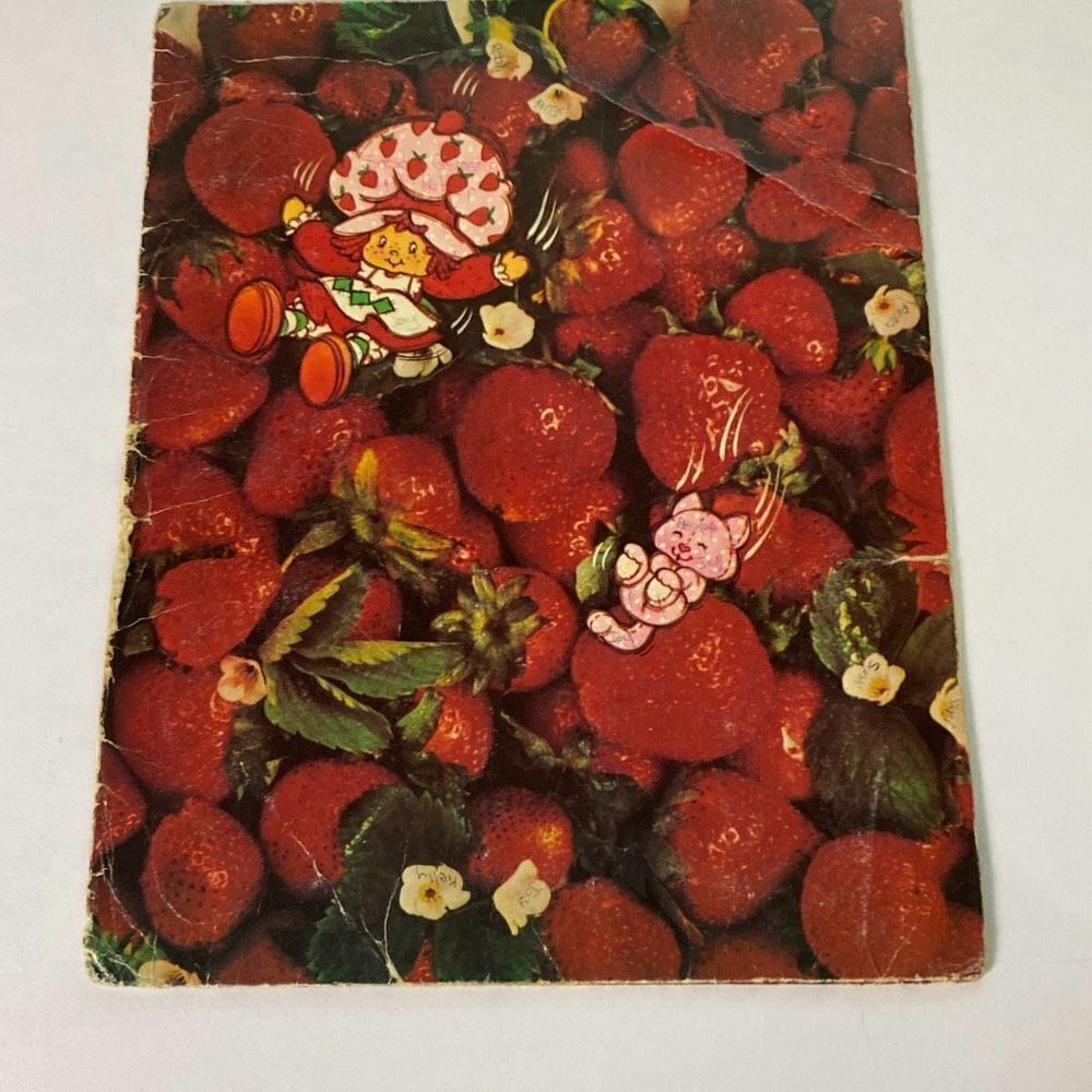 Lot of 6 Strawberry Shortcake pocket folders 1980 St Regis - Picture 12 of 16